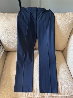 Ann Taylor Straight Leg Dress Pants in Navy Blue